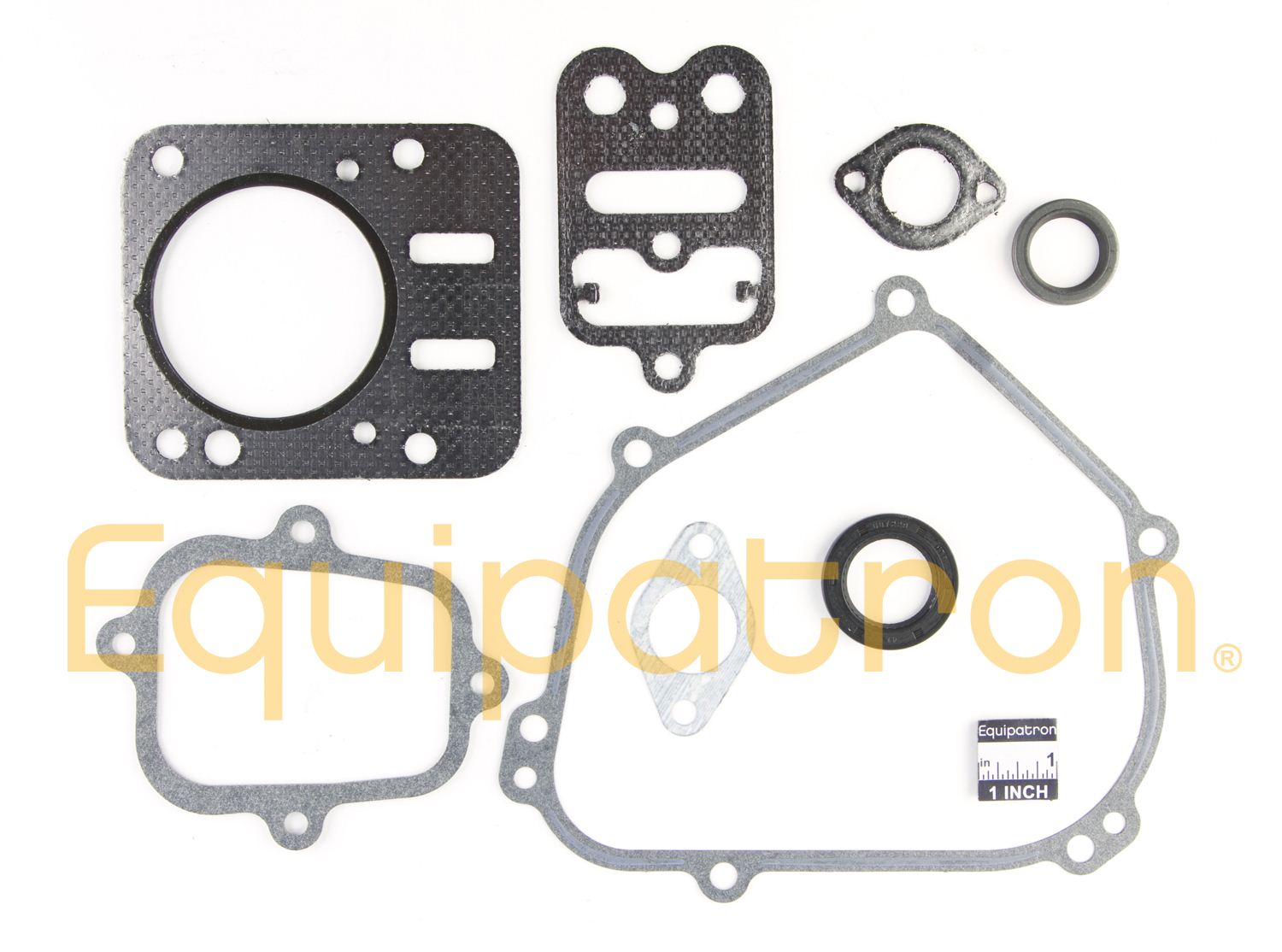 Briggs & Stratton 557110 Engine Gasket Set