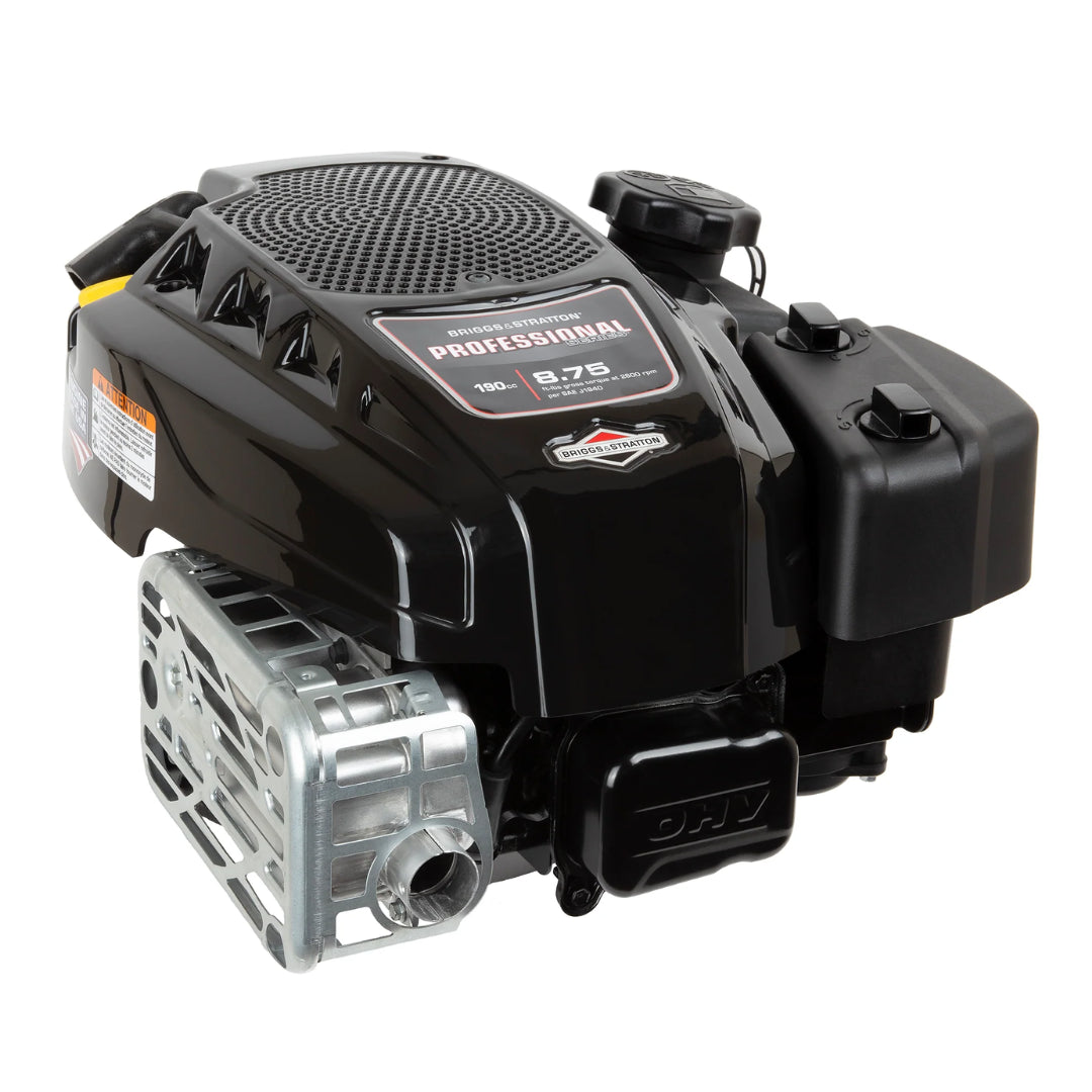 Briggs & Stratton 125P02-0012-F1 Vertical Engine