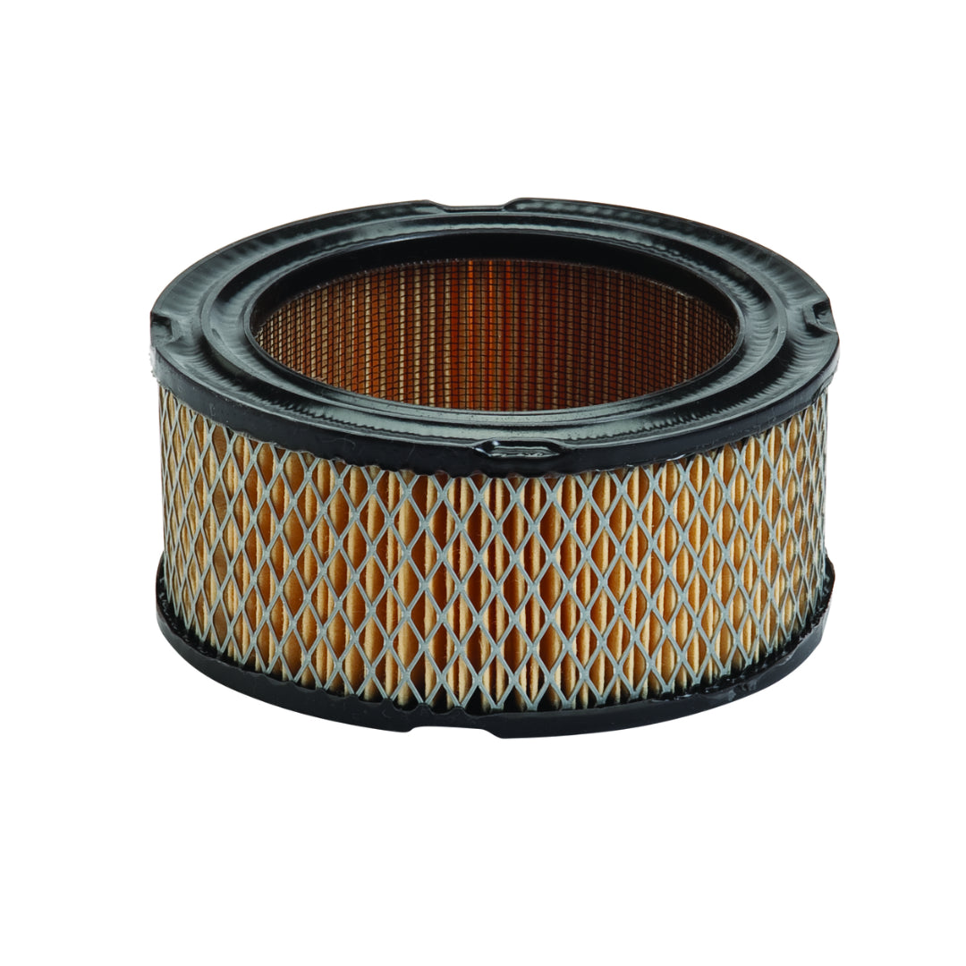 Oregon 30-022 Air Filter, Briggs