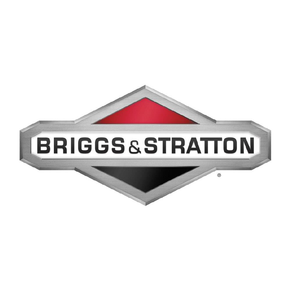 Briggs & Stratton 125P05-0065-F1 875 Professional Series Vertical Engine