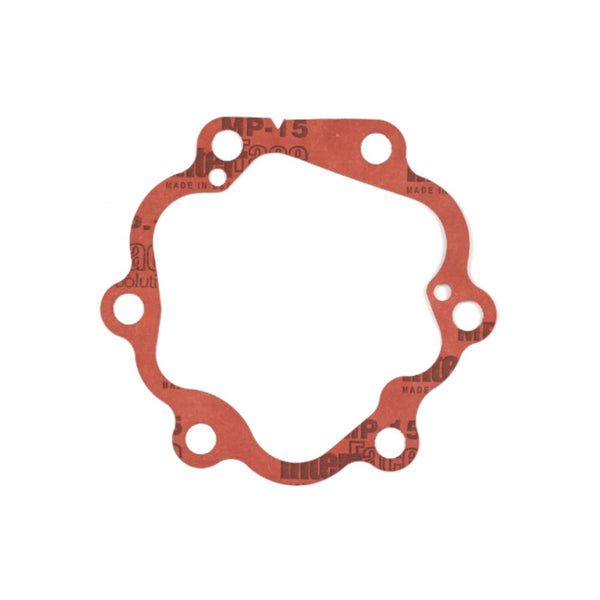 Briggs & Stratton A2069GS Gasket - Pump Head