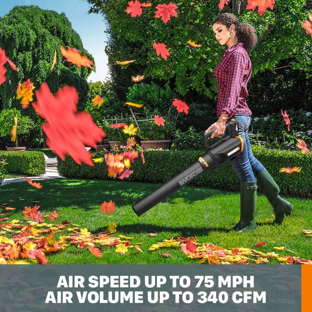 Worx WG929 Cordless 20V Leaf Blower & 12" String Trimmer Kit - 0