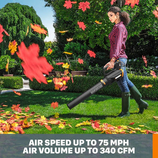 Worx WG929 Cordless 20V Leaf Blower & 12