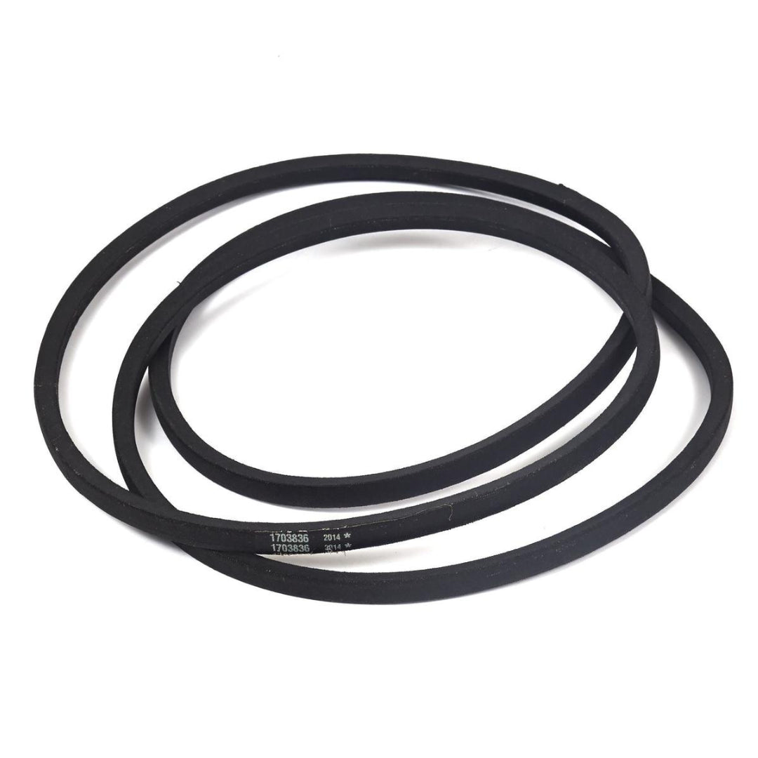 Murray 1703836SM V-Belt, Arbor Drive 50