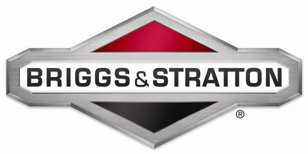 Briggs & Stratton 316920GS Capacitors Kit