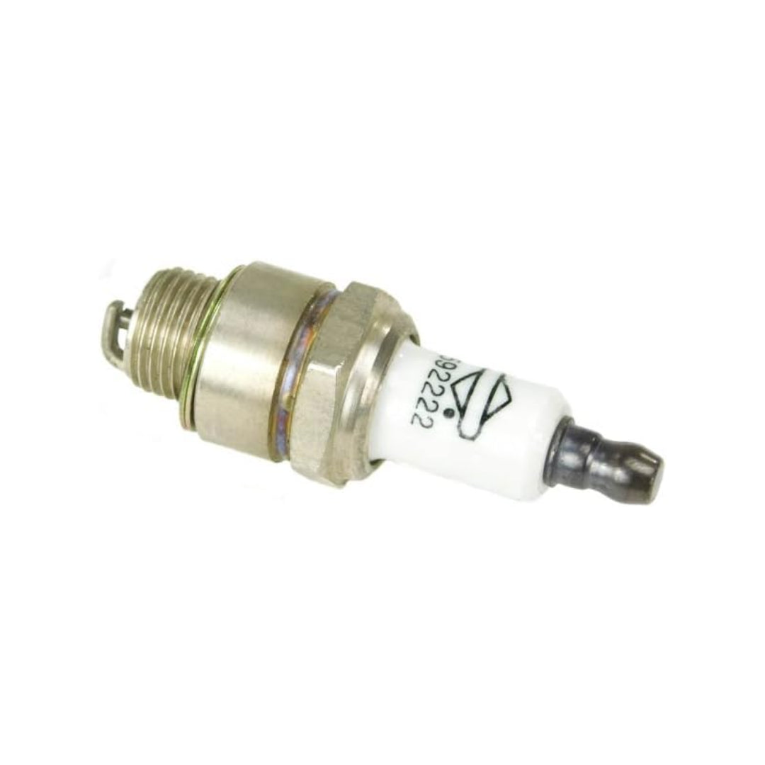 Briggs & Stratton 593941 Spark Plug