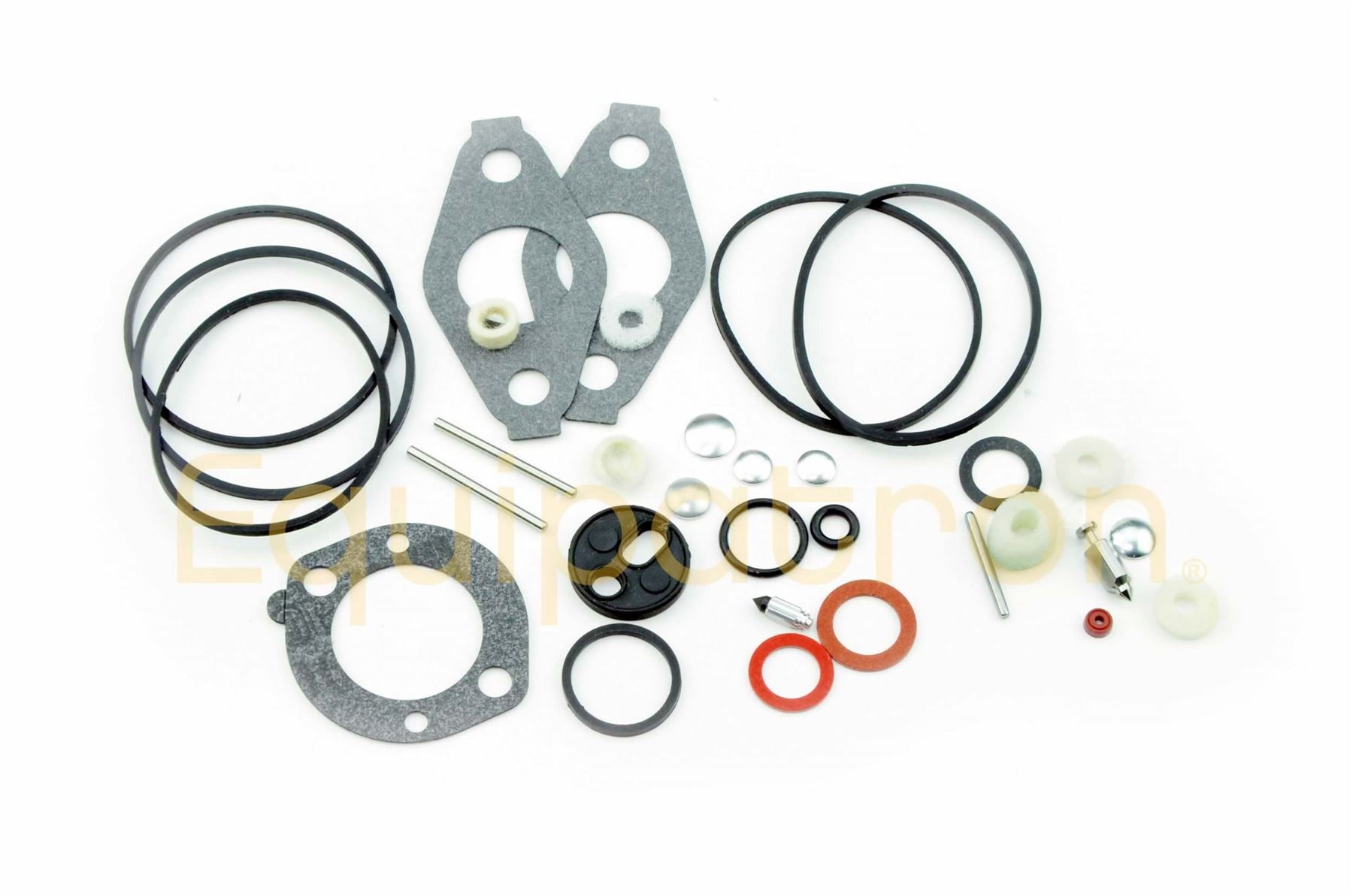 Briggs & Stratton 797634 Carburetor Overhaul Kit, Replaces 797162, 698567