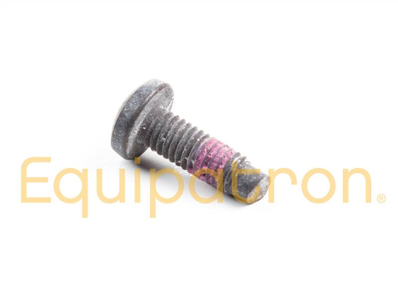 Briggs & Stratton 790029 Screw