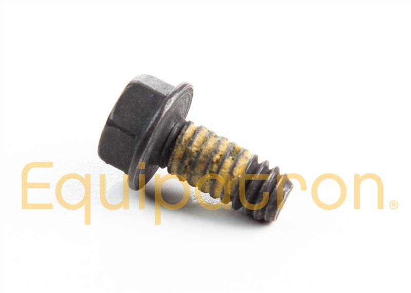 Briggs & Stratton 690877 Screw, Replaces 94644, 555538, 690877