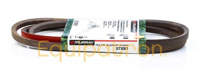 Murray 37X81MA V Belt