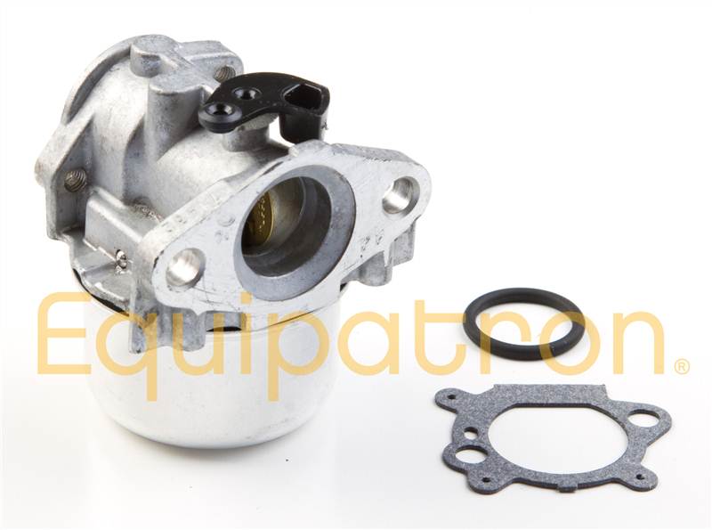 Briggs & Stratton 799872 Carburetor, Replaces 790821 - 0