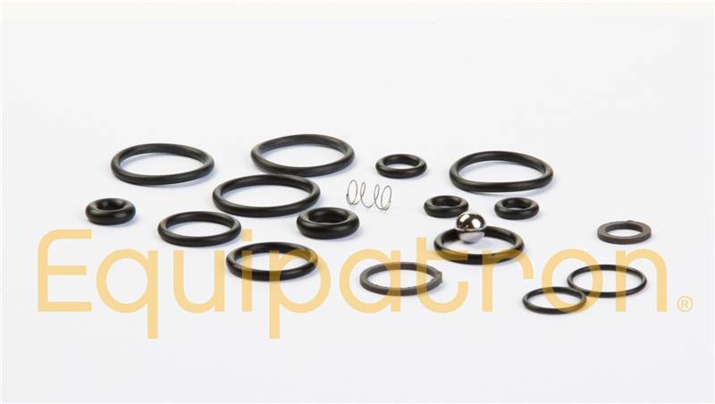 Briggs & Stratton 198847GS O-Ring Kit - 0