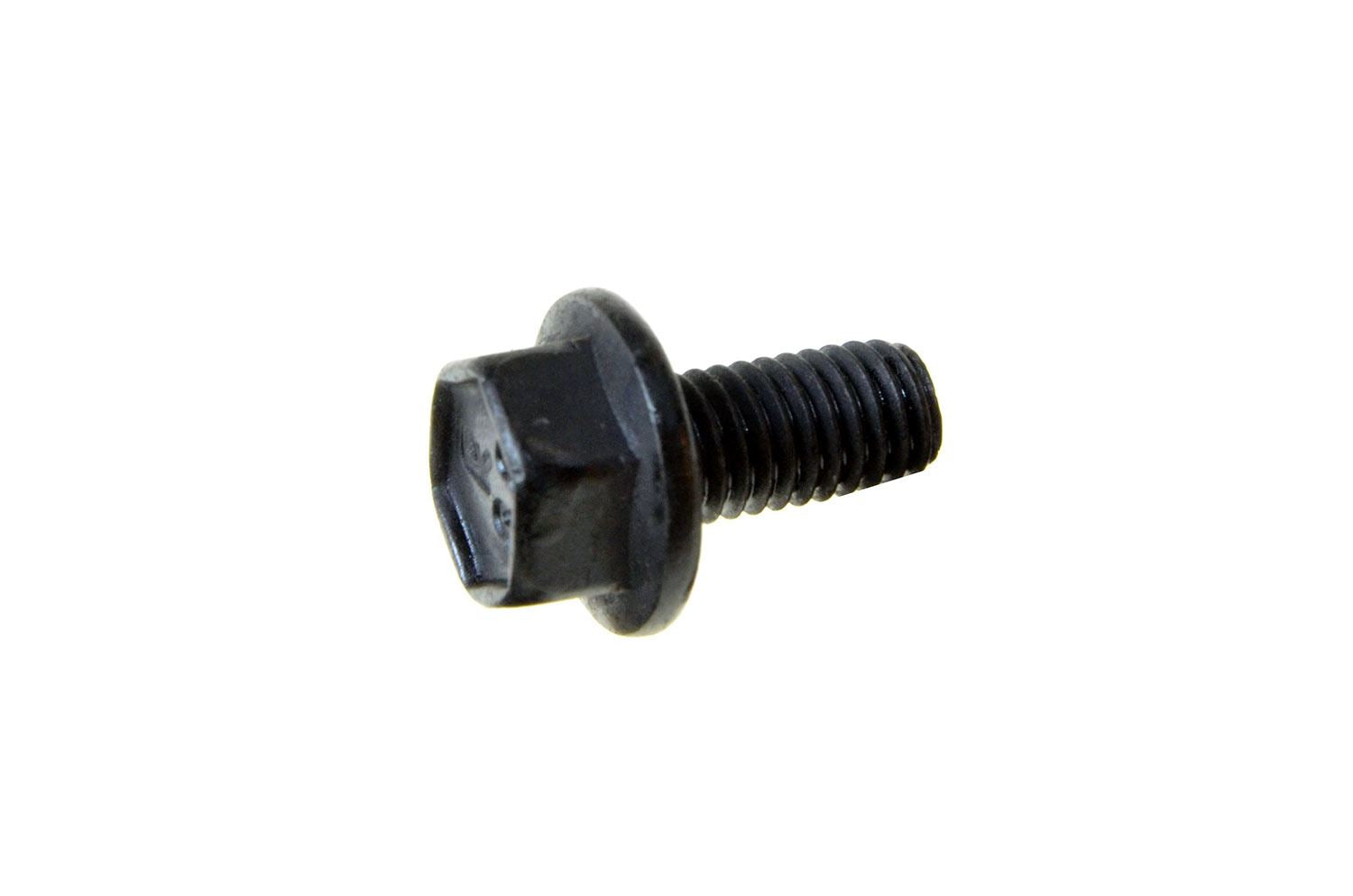 Kohler M 550010-S Heavy Flange Screw, M5 x .08 x 10