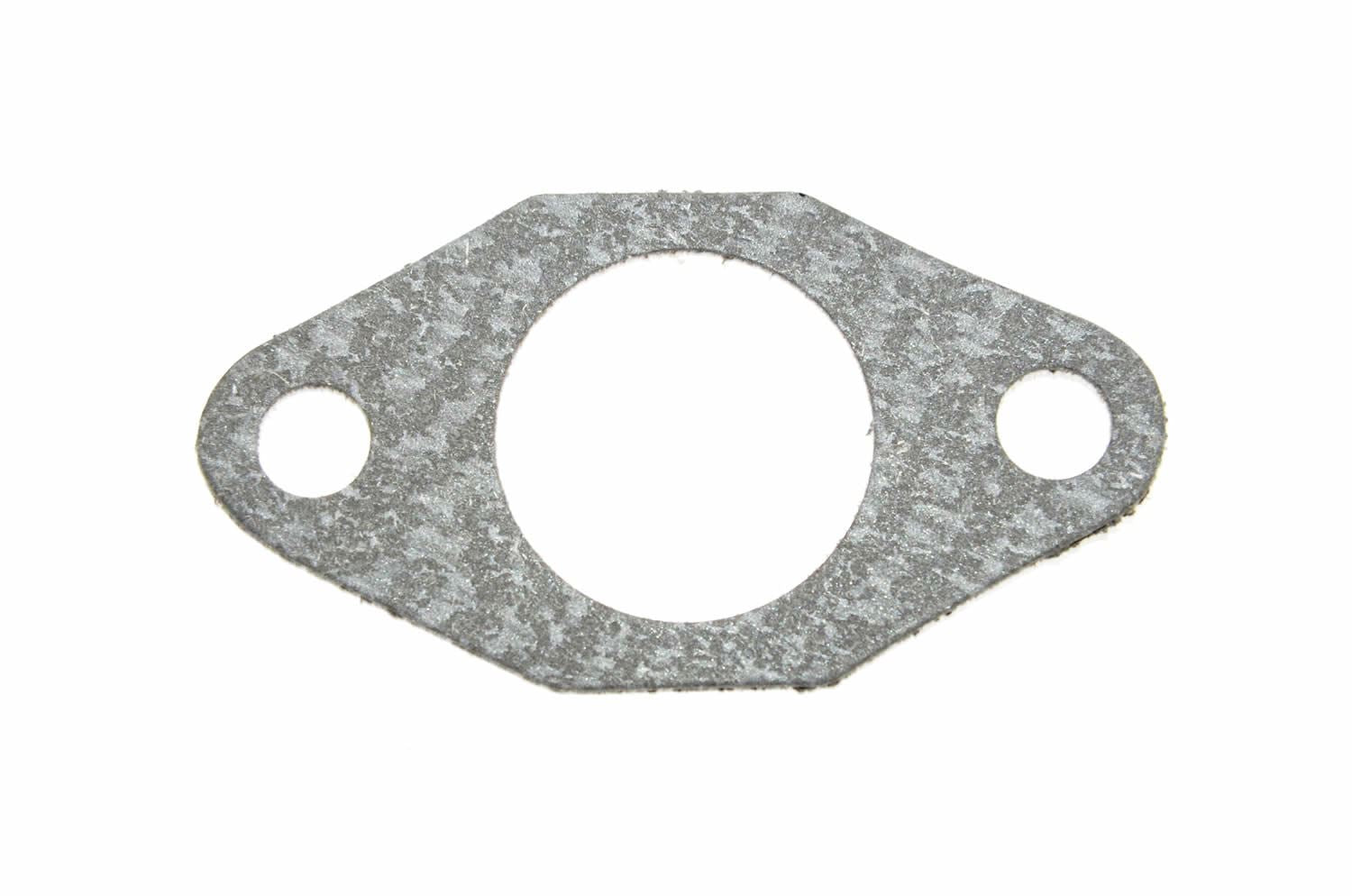 Tecumseh 510110A Gasket, Replaces 510110