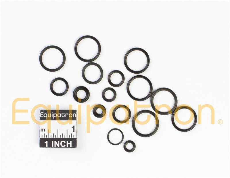 Briggs & Stratton 200346GS O-Ring Kit