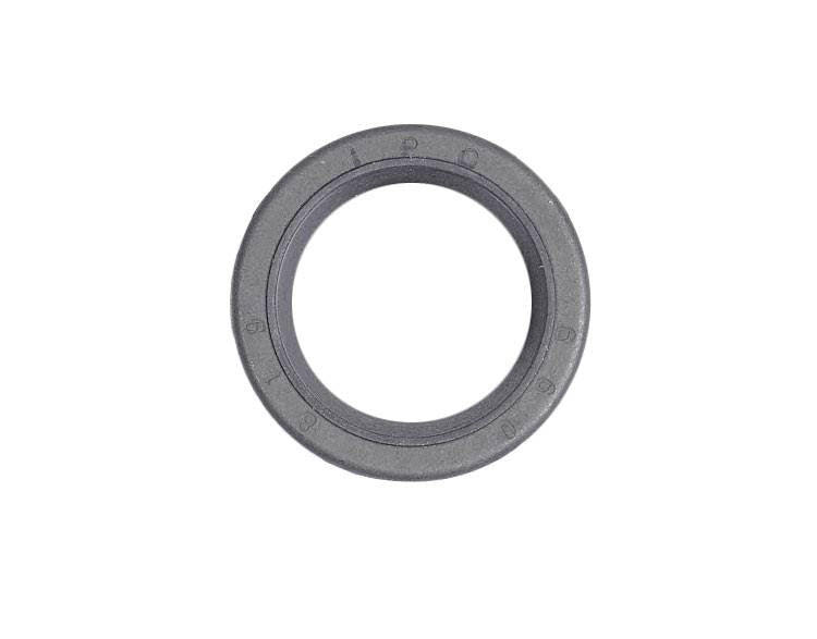 Briggs & Stratton 299819S Oil Seal