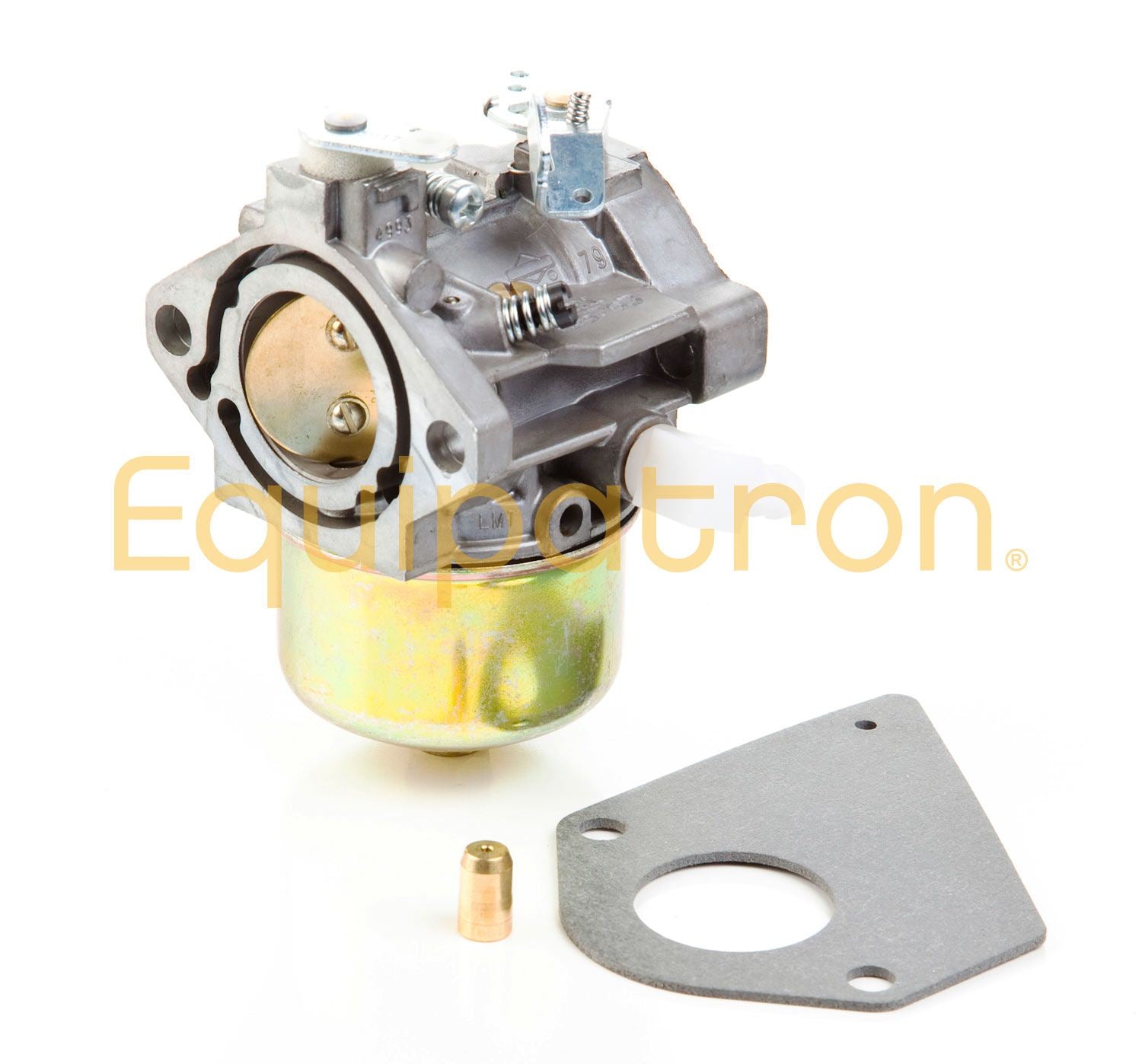 Briggs & Stratton 495784 Carburetor, Replaces 494881