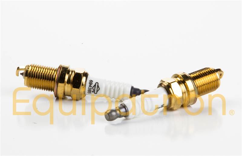 Briggs & Stratton 5420K Spark Plug 2-Pack