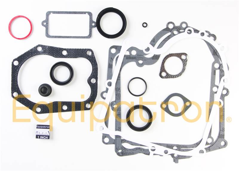 Briggs & Stratton 494241 Engine Gasket Set, Replaces 490525