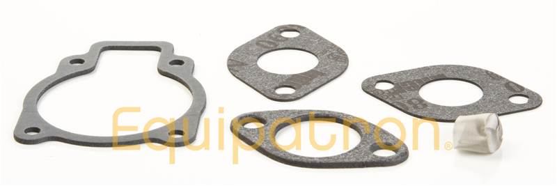 Briggs & Stratton 801312 Carburetor Gasket Set