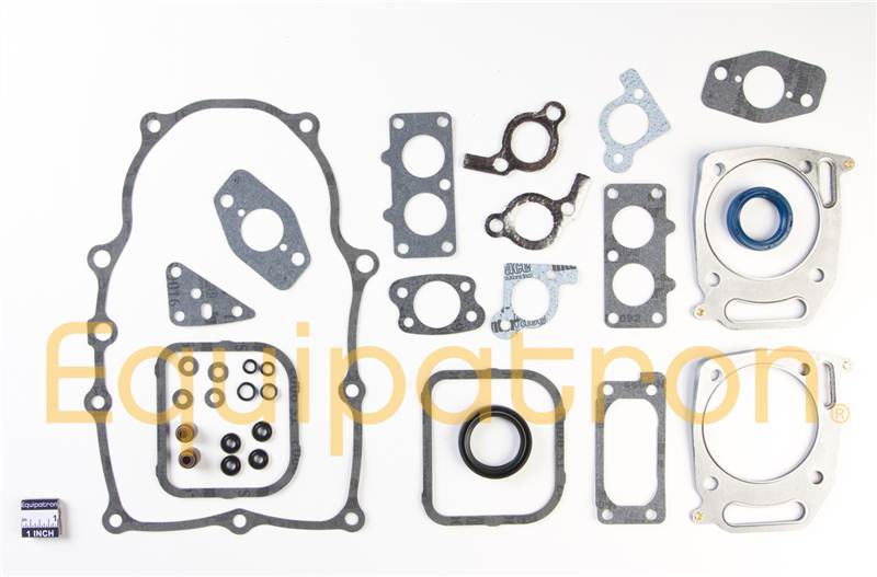 Briggs & Stratton 842658 Engine Gasket Set, Replaces 808617, 842663