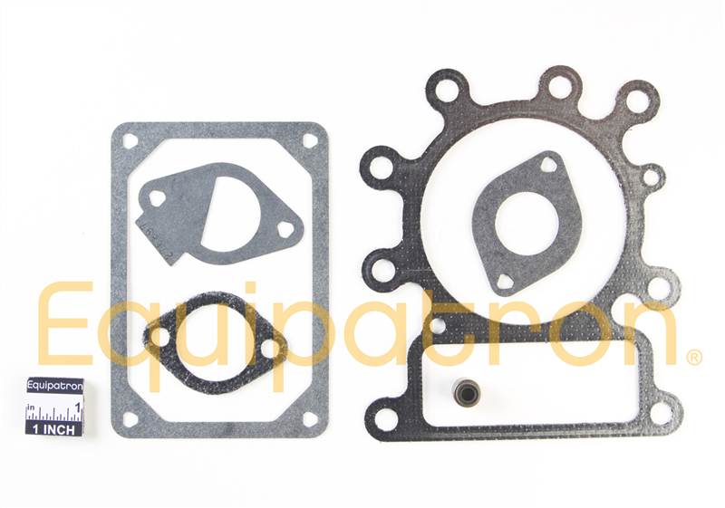 Briggs & Stratton 796189 Valve Gasket Set, Replaces 795807, 691581