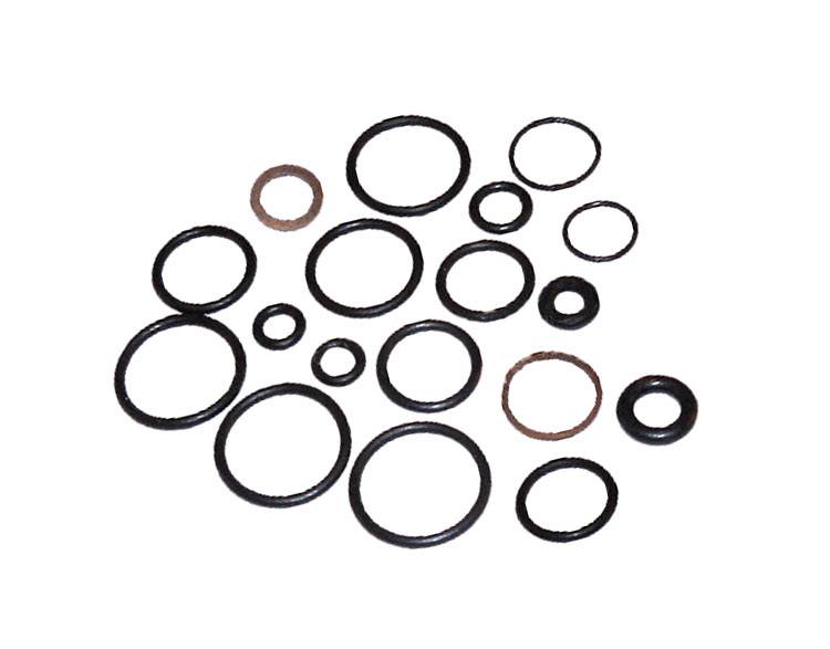 Briggs & Stratton 198847GS O-Ring Kit