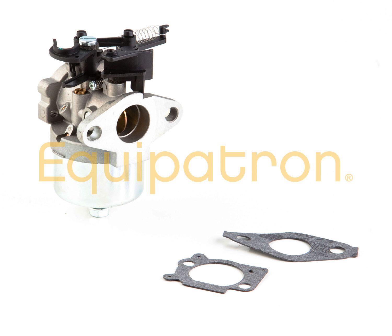 Briggs & Stratton 591852 Carburetor, Replaces 793493, 793463