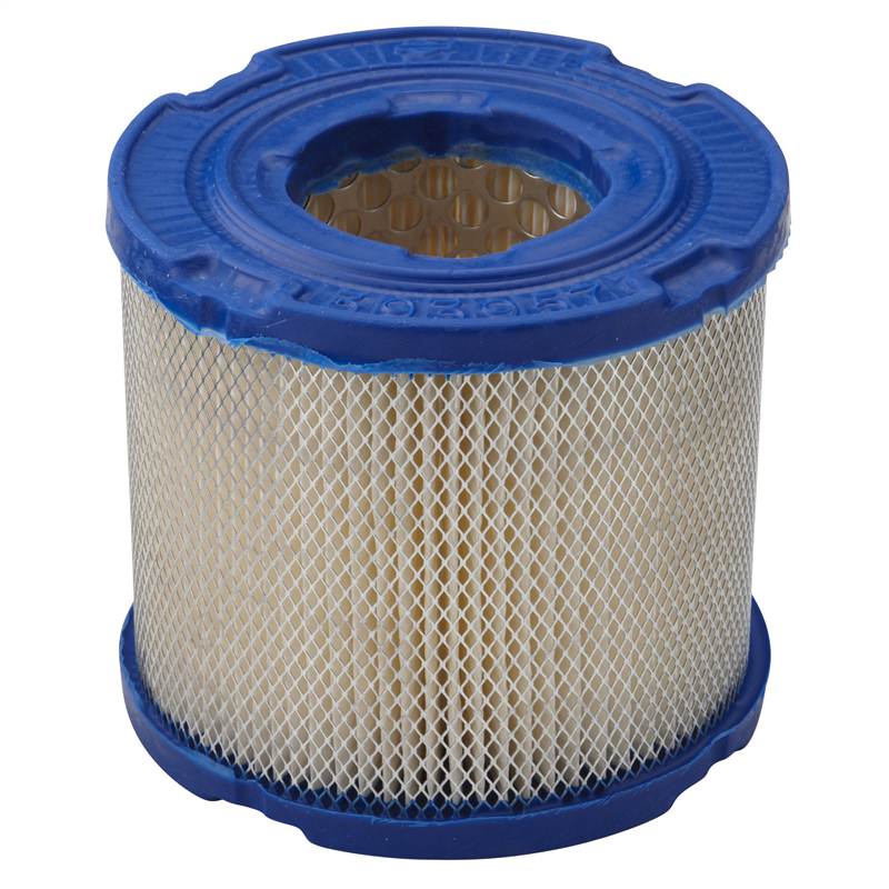 Briggs & Stratton 393957S Round Air Filter Cartridge