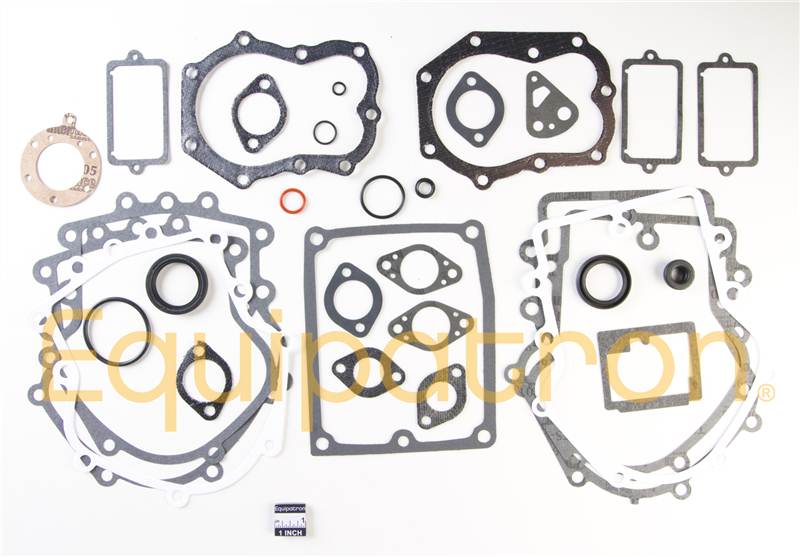 Briggs & Stratton 495868 Engine Gasket Set, Replaces 491856, 394501, 393278