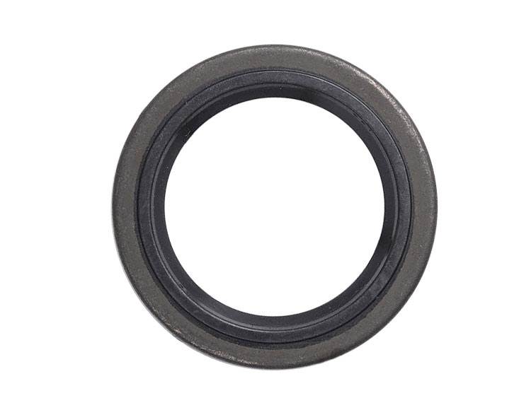 Briggs & Stratton 391086S Oil Seal