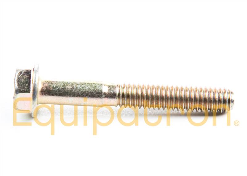 Briggs & Stratton 791130 Screw