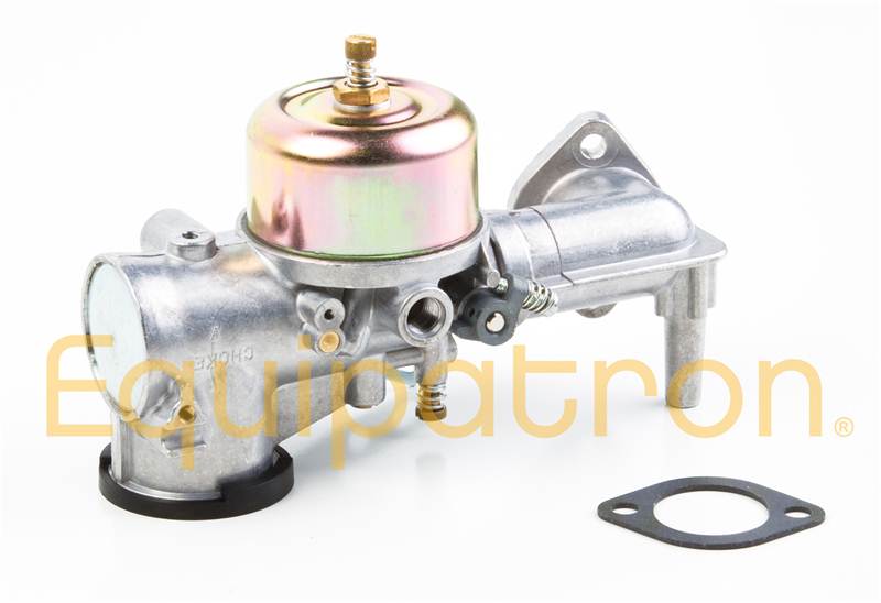 Briggs & Stratton 491590 Carburetor, Replaces 390811 & 392152