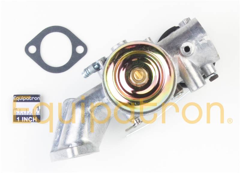 Briggs & Stratton 491031 Carburetor, Replaces 490499