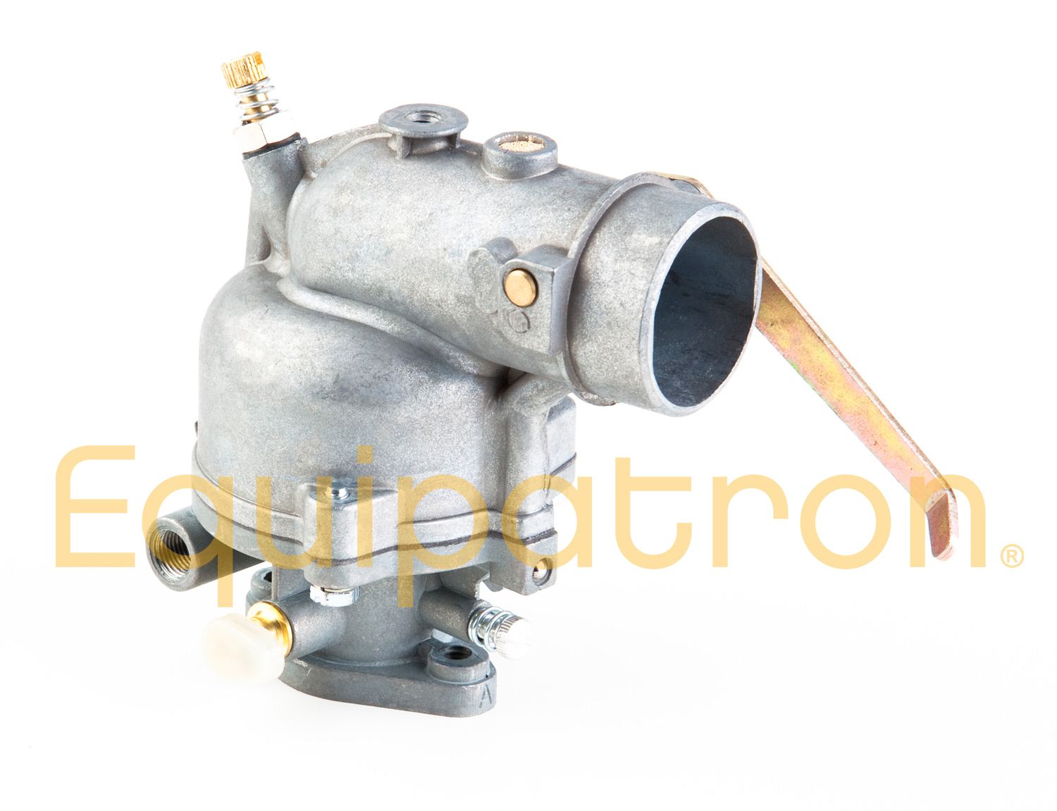 Briggs & Stratton 391889 Carburetor