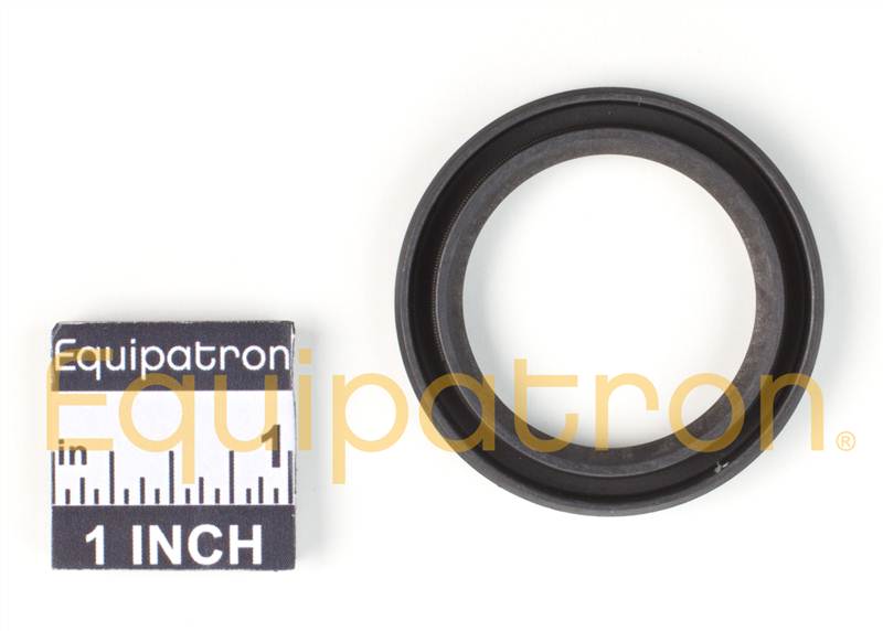 Briggs & Stratton 391086S Oil Seal