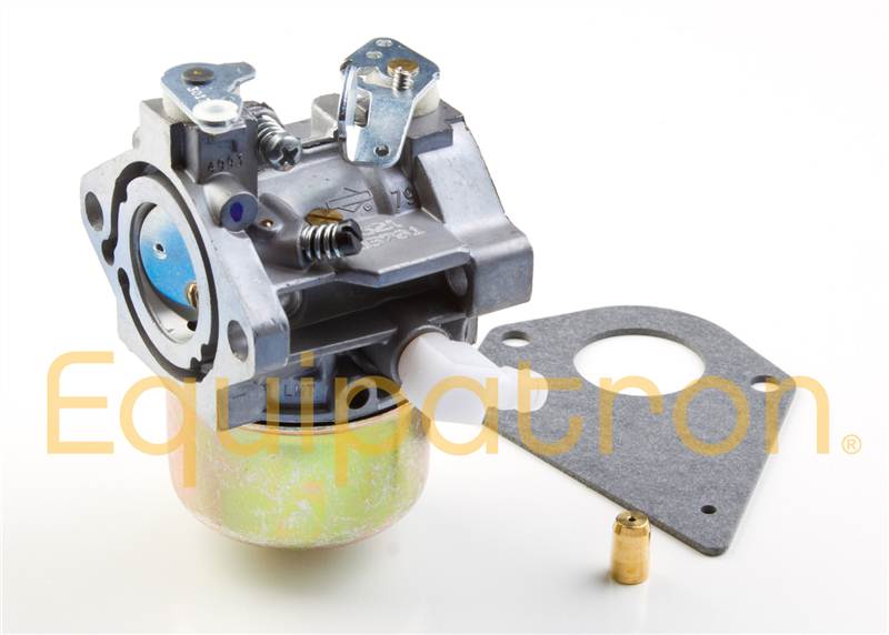 Briggs & Stratton 495782 Carburetor Assembly, Replaces 494894