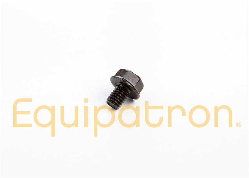 Briggs & Stratton 710074 Screw