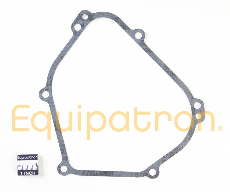 Briggs & Stratton 699485 Crankcase Gasket, Replaces 555525, 692549, 273661