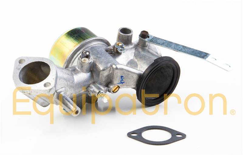 Briggs & Stratton 491031 Carburetor, Replaces 490499 - 0