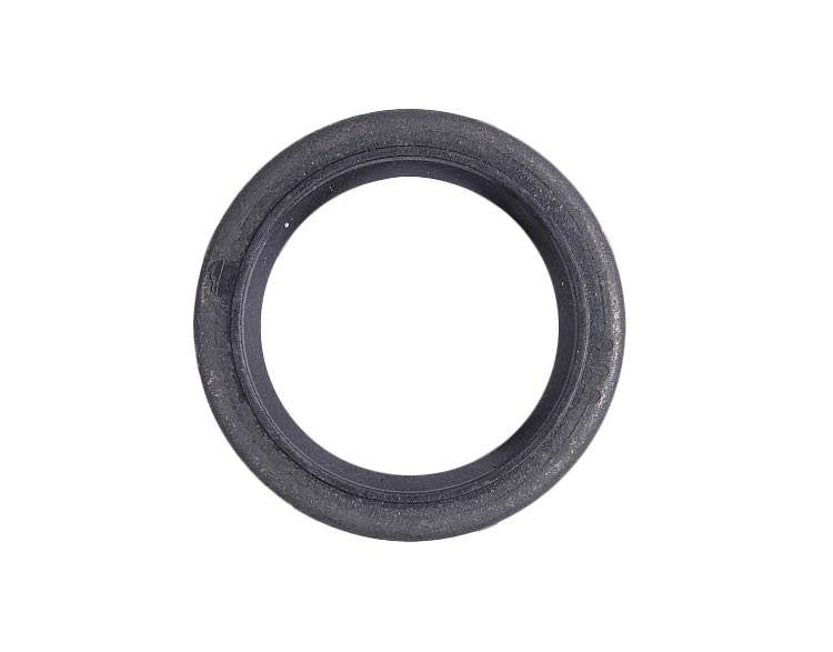 Briggs & Stratton 294606S Oil Seal