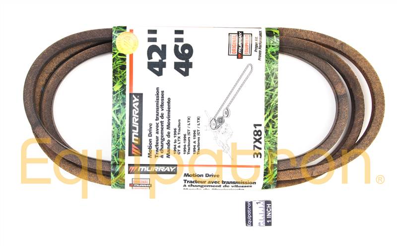 Murray 37X81MA V Belt - 0