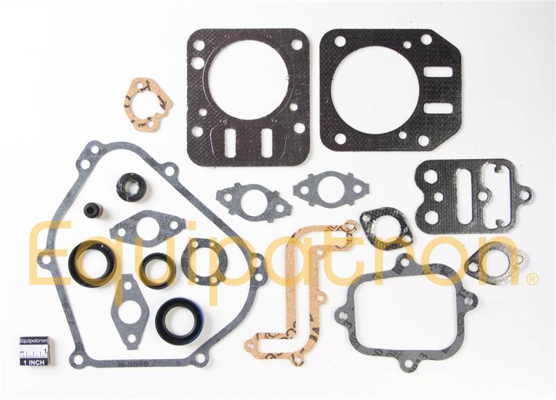 Briggs & Stratton 791797 Engine Gasket Set, Replaces 699638, 698680, 697000