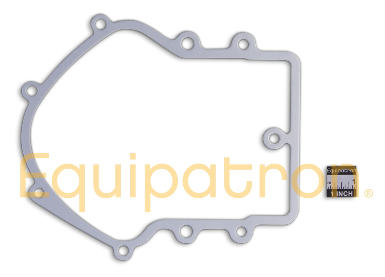 Briggs & Stratton 271189 009 Crankcase Gasket