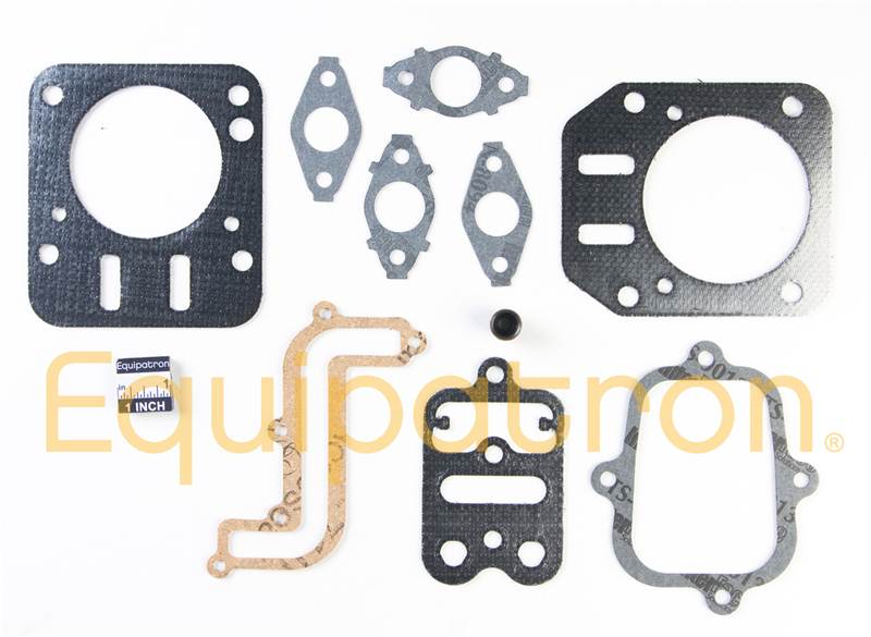 Briggs & Stratton 791798 Valve Gasket Set, Replaces 698215, 695289, 690034