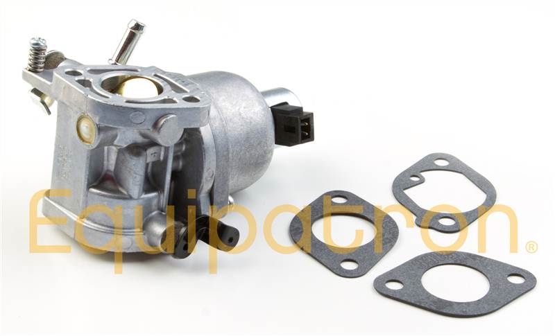 Briggs & Stratton 699807 Carburetor