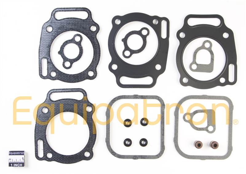 Briggs & Stratton 808392 Valve Gasket Set, Replaces 807990, 807668