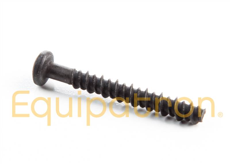 Briggs & Stratton 690700 Screw, Replaces 94696, 690700