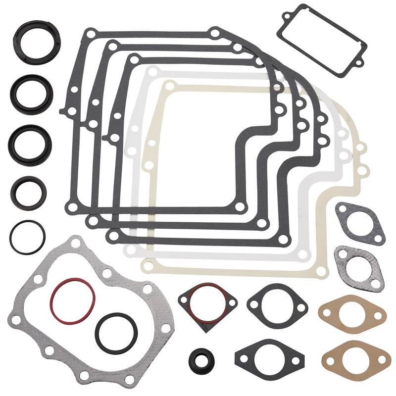 Briggs & Stratton 299577 Gasket Set