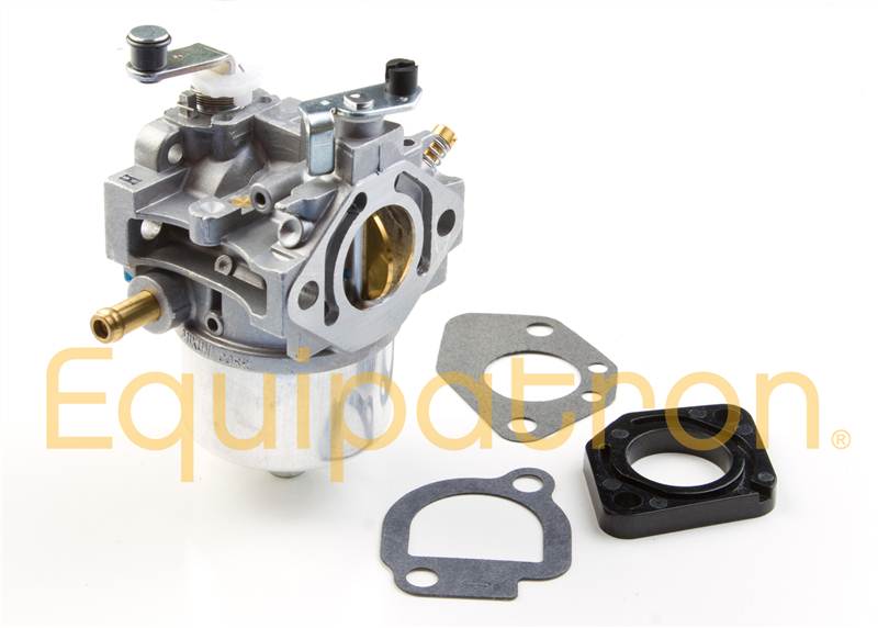 Briggs & Stratton 491912 Carburetor